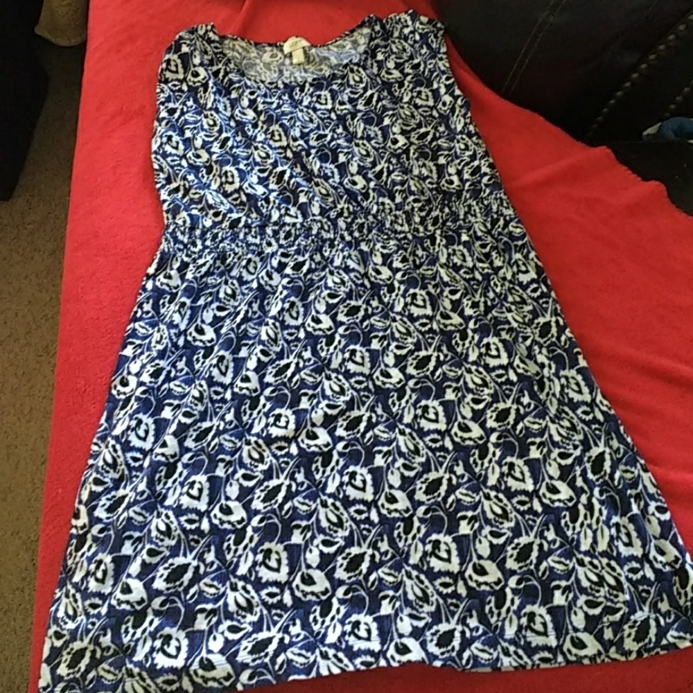LOFT dress
